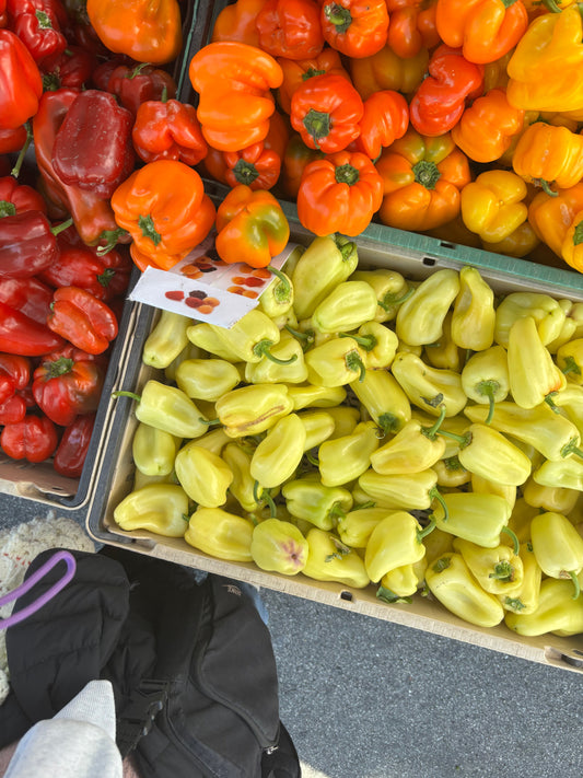 About Little Feast